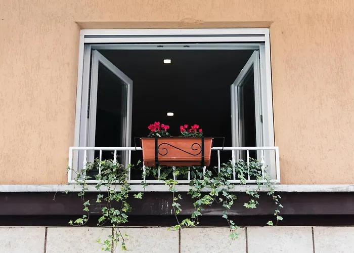 Ziani Vatican Boutique Guest house